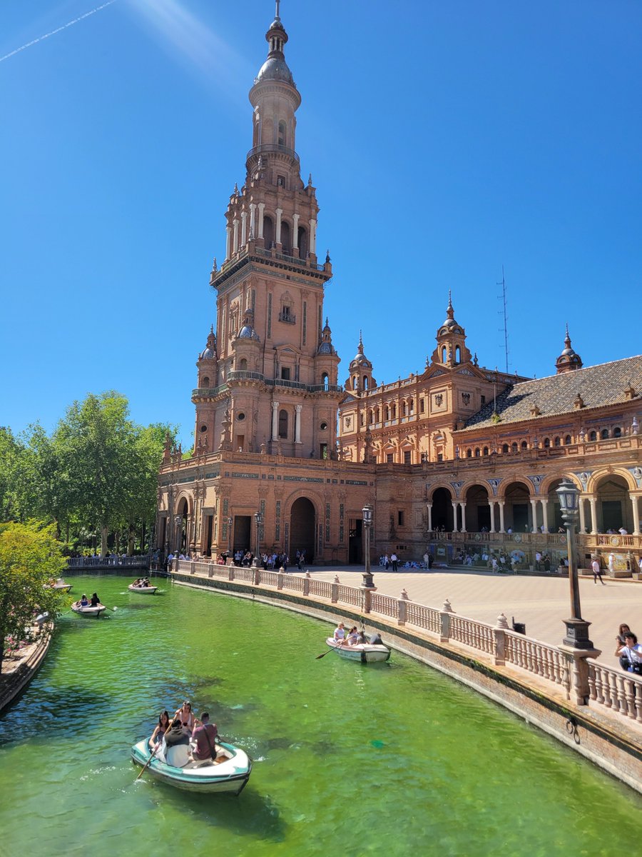 ぽんこつ tweet media