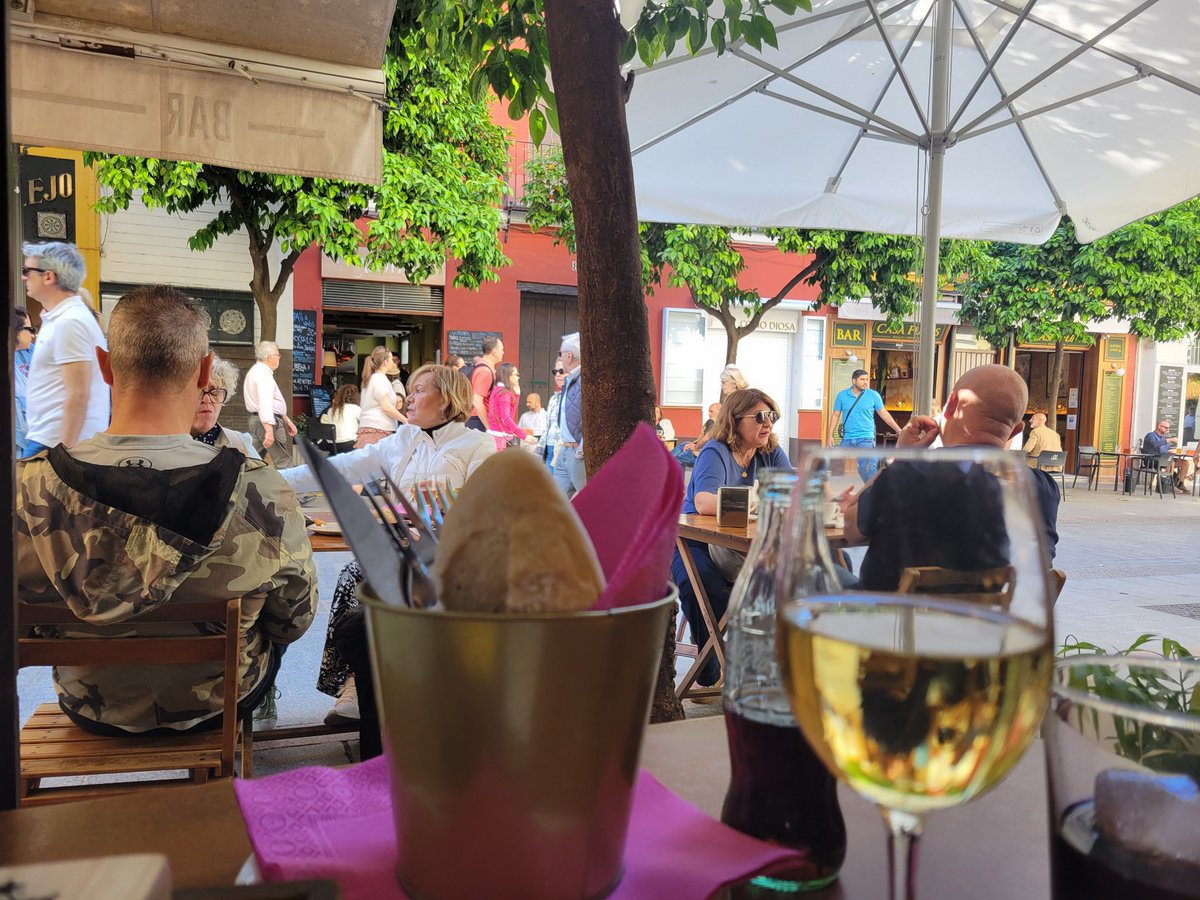 ぽんこつ tweet media