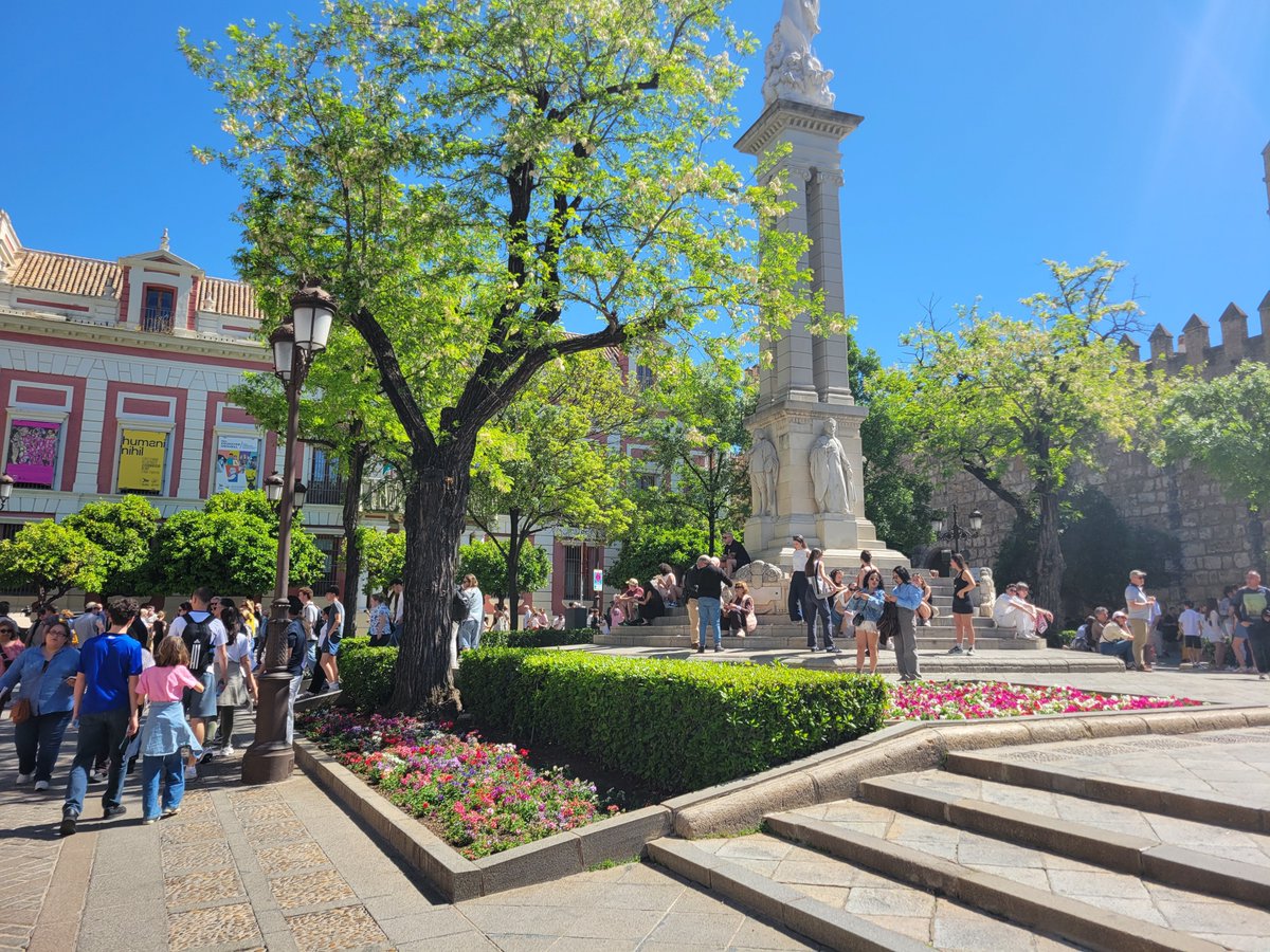 ぽんこつ tweet media