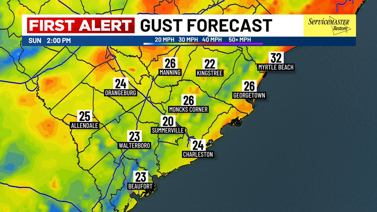 Lexie Horvath tweet media