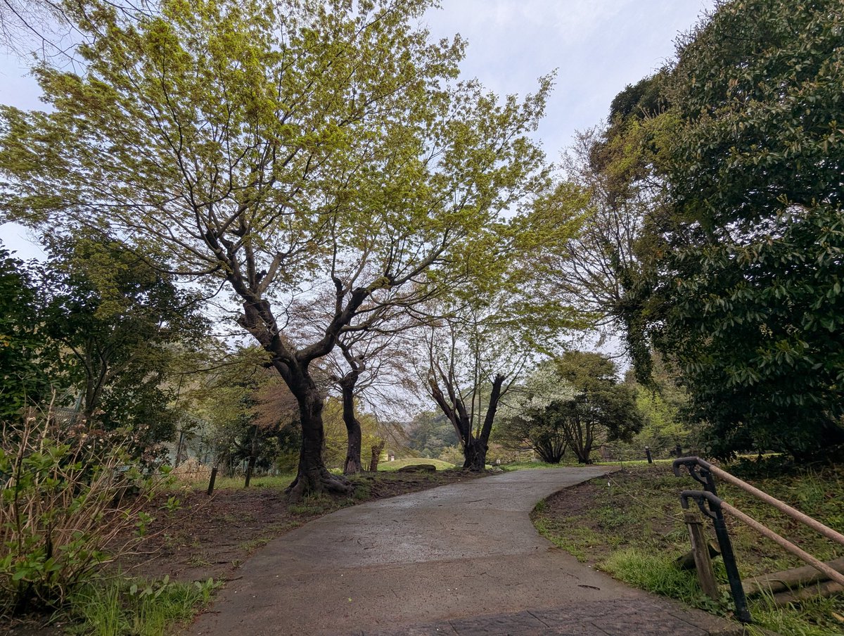 鎌倉PRESS tweet media