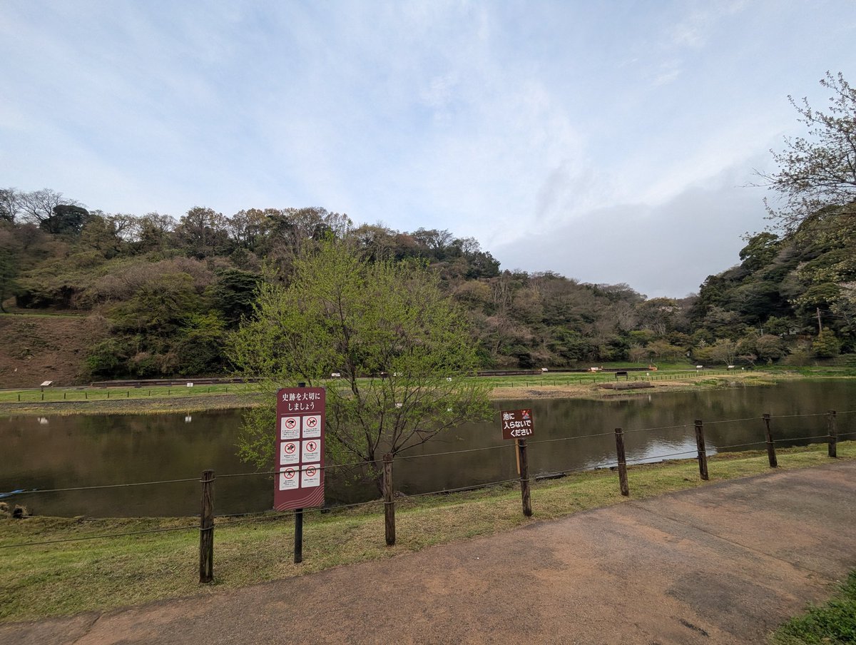 鎌倉PRESS tweet media