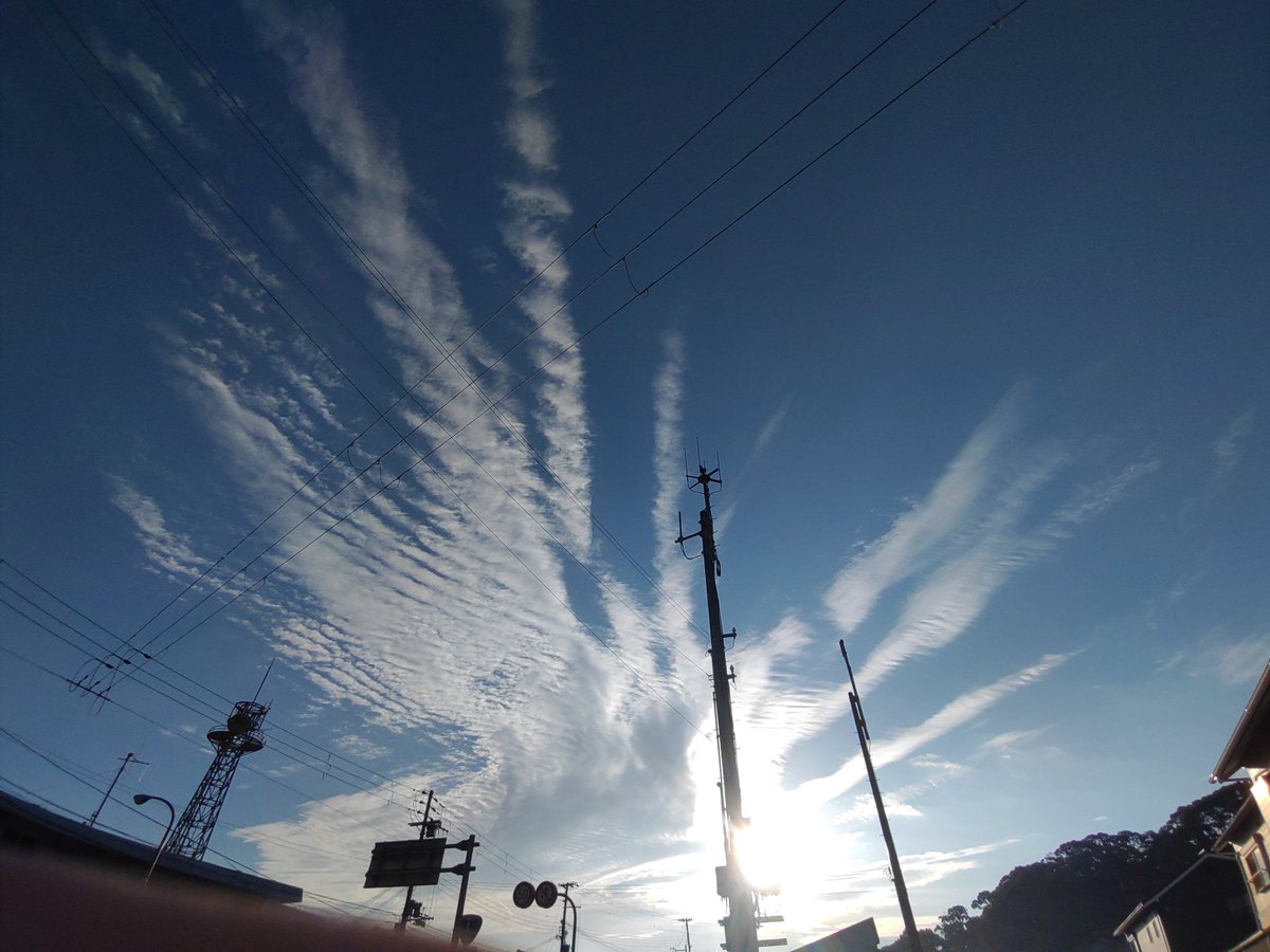 紀州魂@わかやま tweet media