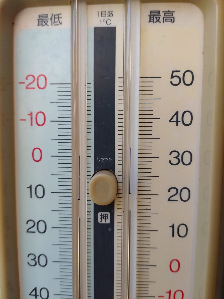 紀州魂@わかやま tweet media