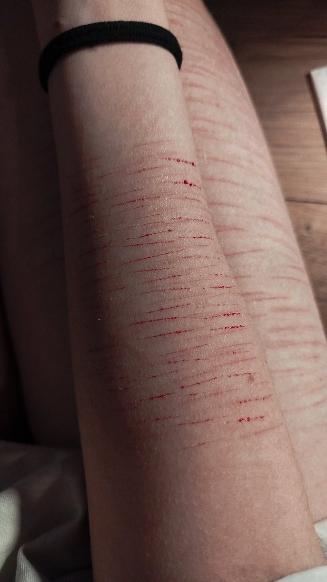 Melody 🐱🎨 tweet media