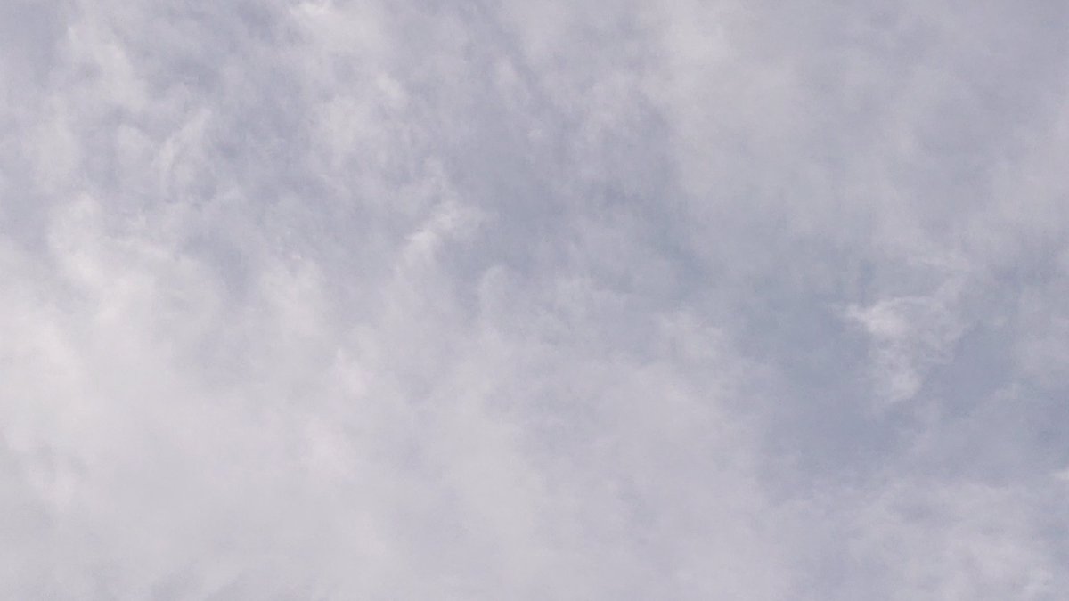 りん🎀 tweet media