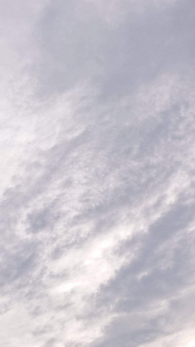 りん🎀 tweet media