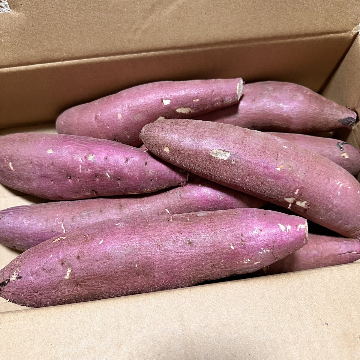 keeeee きー tweet media