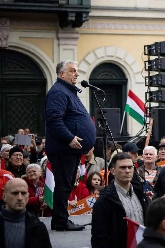 Rohoza (Дев'ятий) Mykhailo 🇺🇦🇱🇹🇨🇦 tweet media