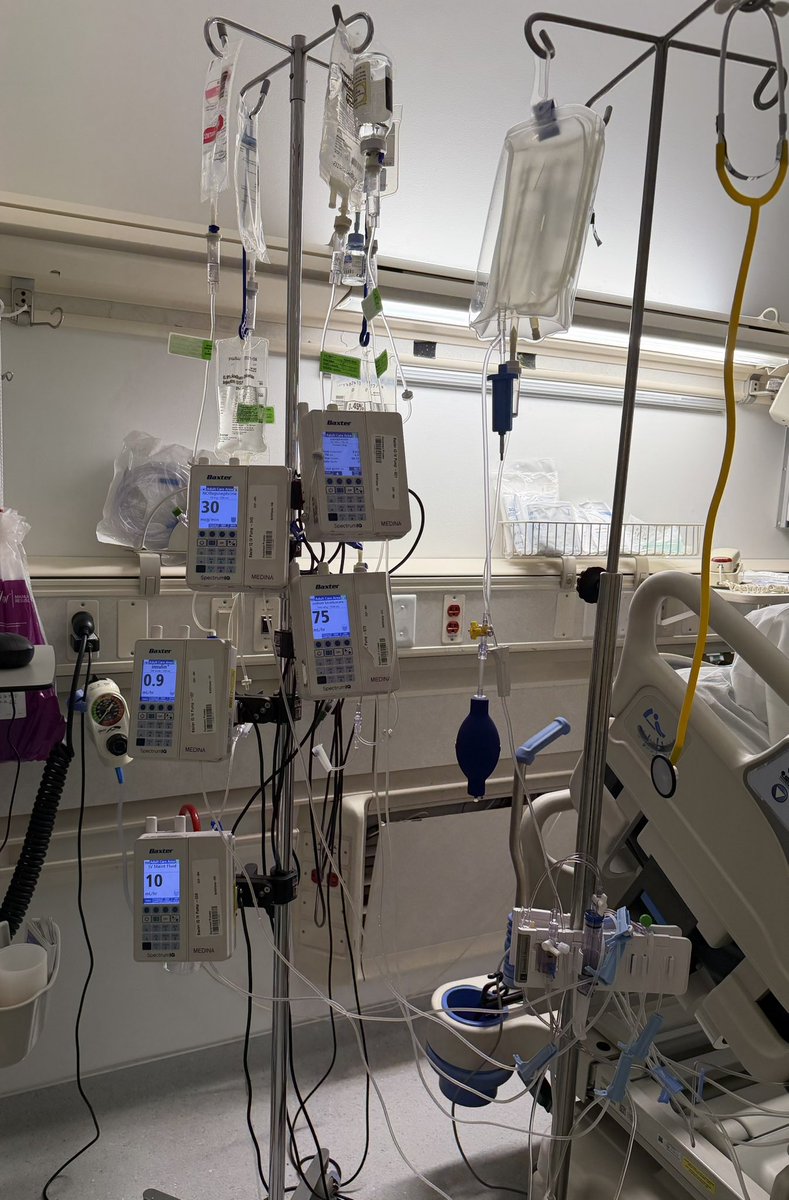 Panda_Moany_yum 🐼 tweet media