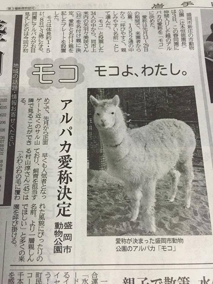 モコ@岩手(モコの夜はこれから) tweet media