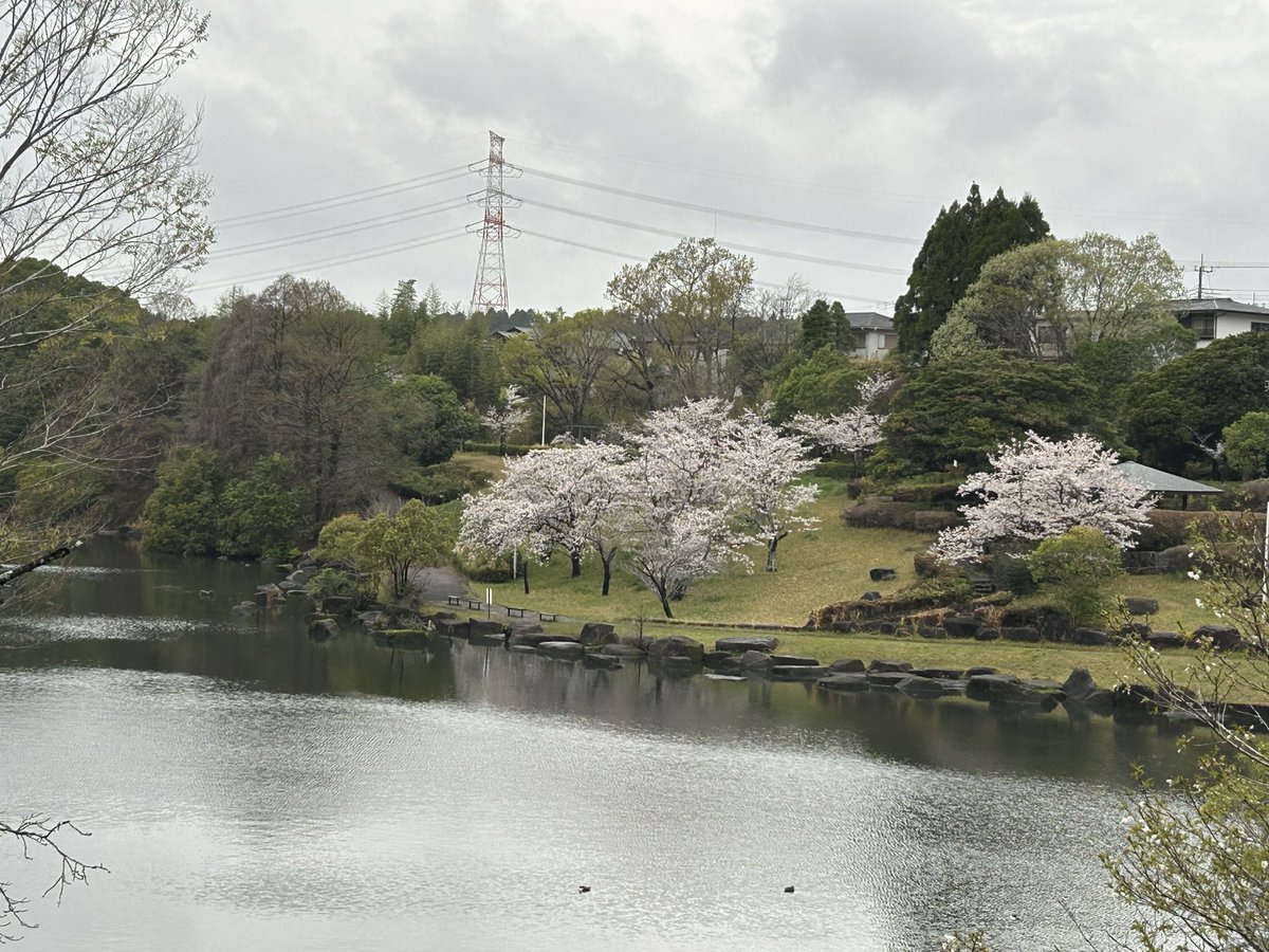 浜の小魔人 tweet media