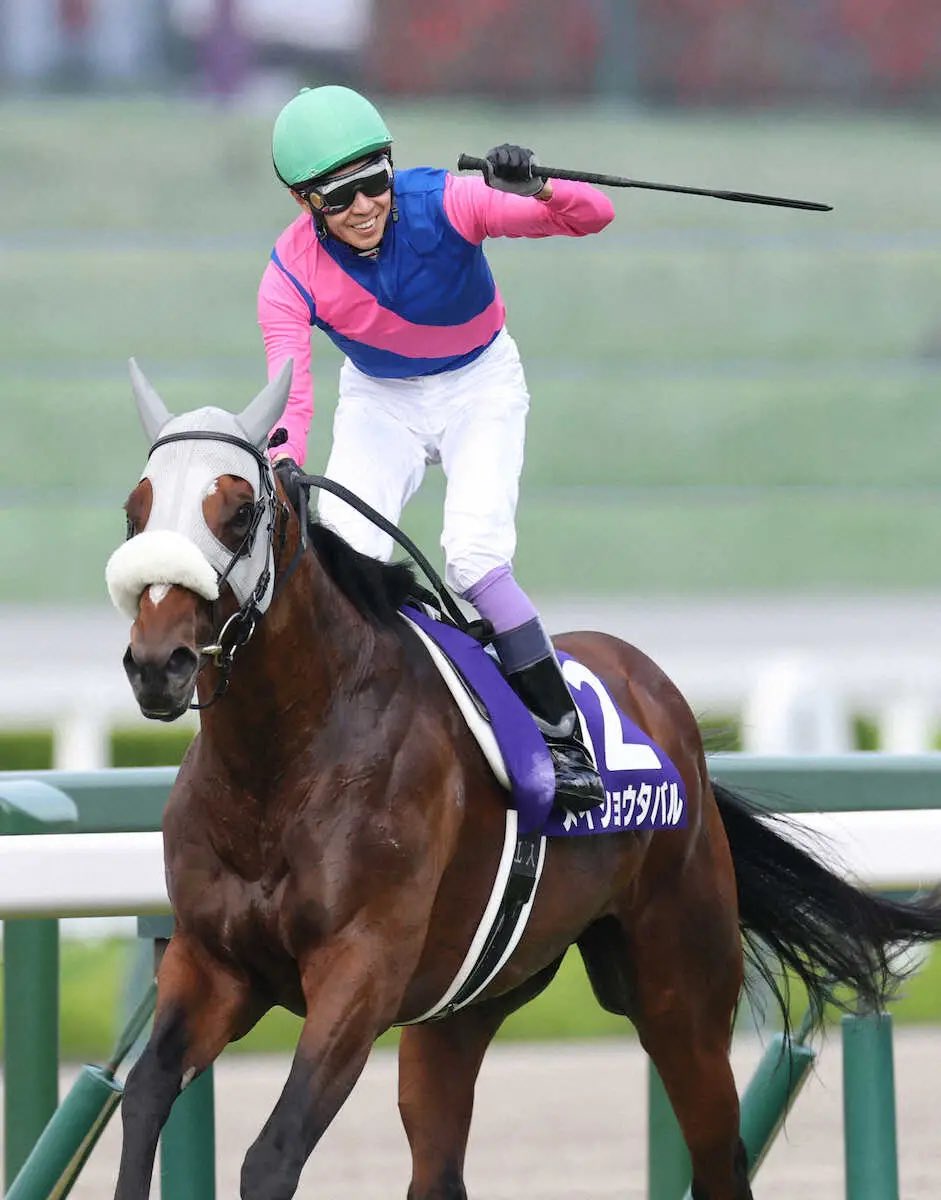 マヤトヨ tweet media