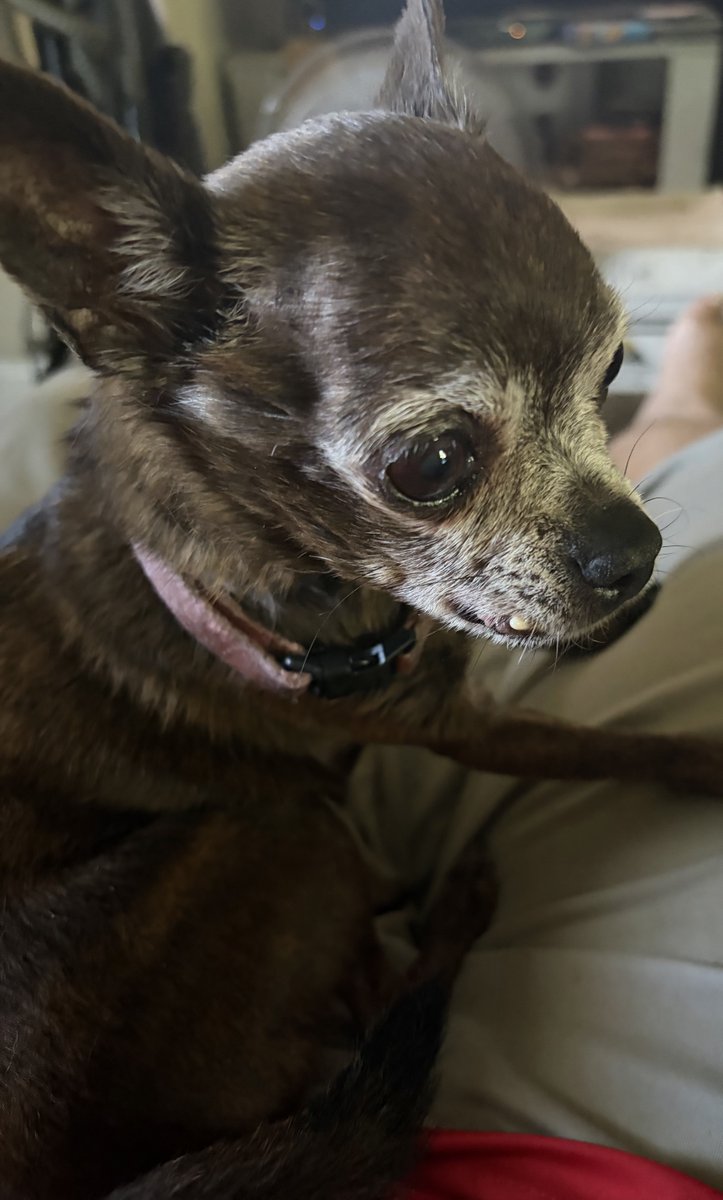 JRadford61 tweet media