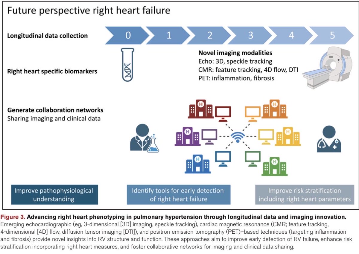 Advanced Molecular, Metabolic, and Imaging Approaches to Characterizing #RightVentricular Failure: A Scientific Statement From the American Heart Association

ahajournals.org/doi/10.1161/CI…

<a href="/AHAScience/">AHA Science</a> <a href="/CircAHA/">Circulation</a>