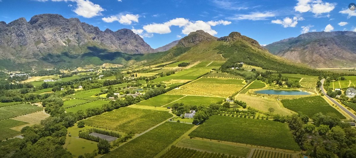 الهاشمي - ALHACHIMI tweet media