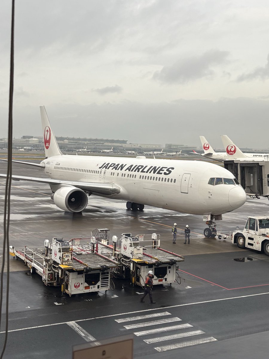 ちづる🎻🎼 tweet media