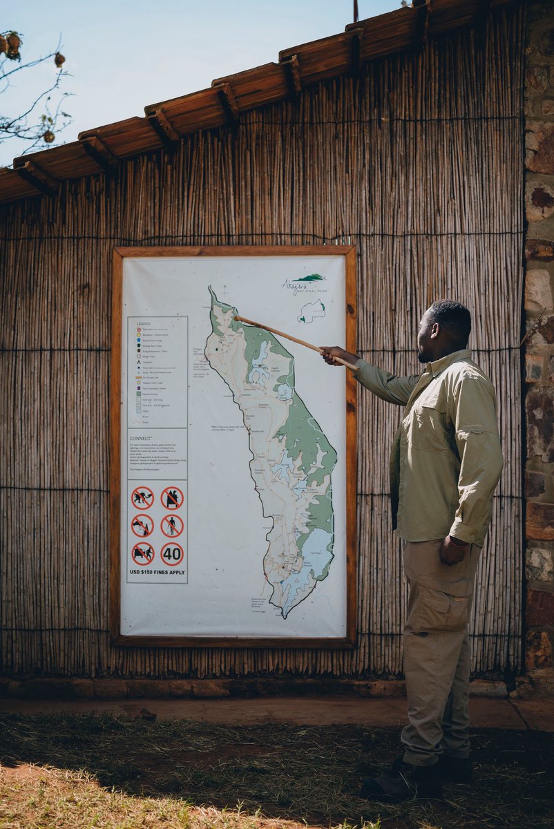 Minister of Food and Drinks🇷🇼 tweet media