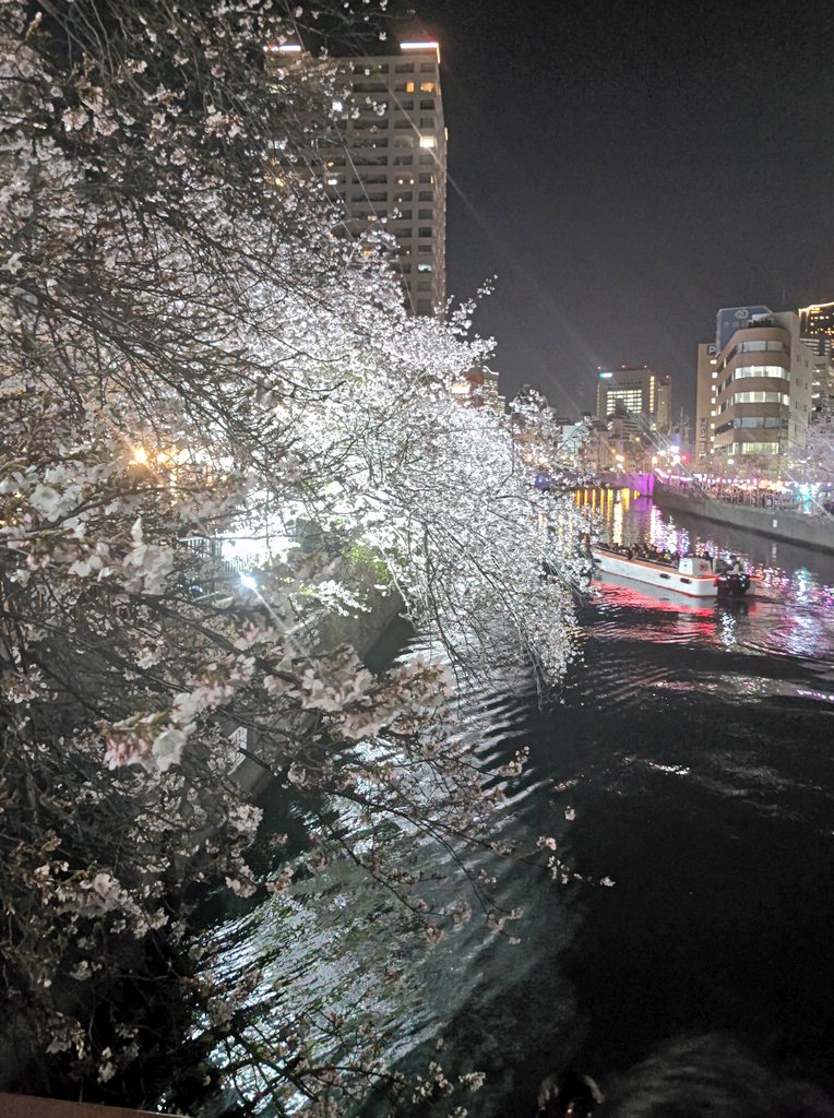 シェアハウス 横浜 Twinkle place tweet media