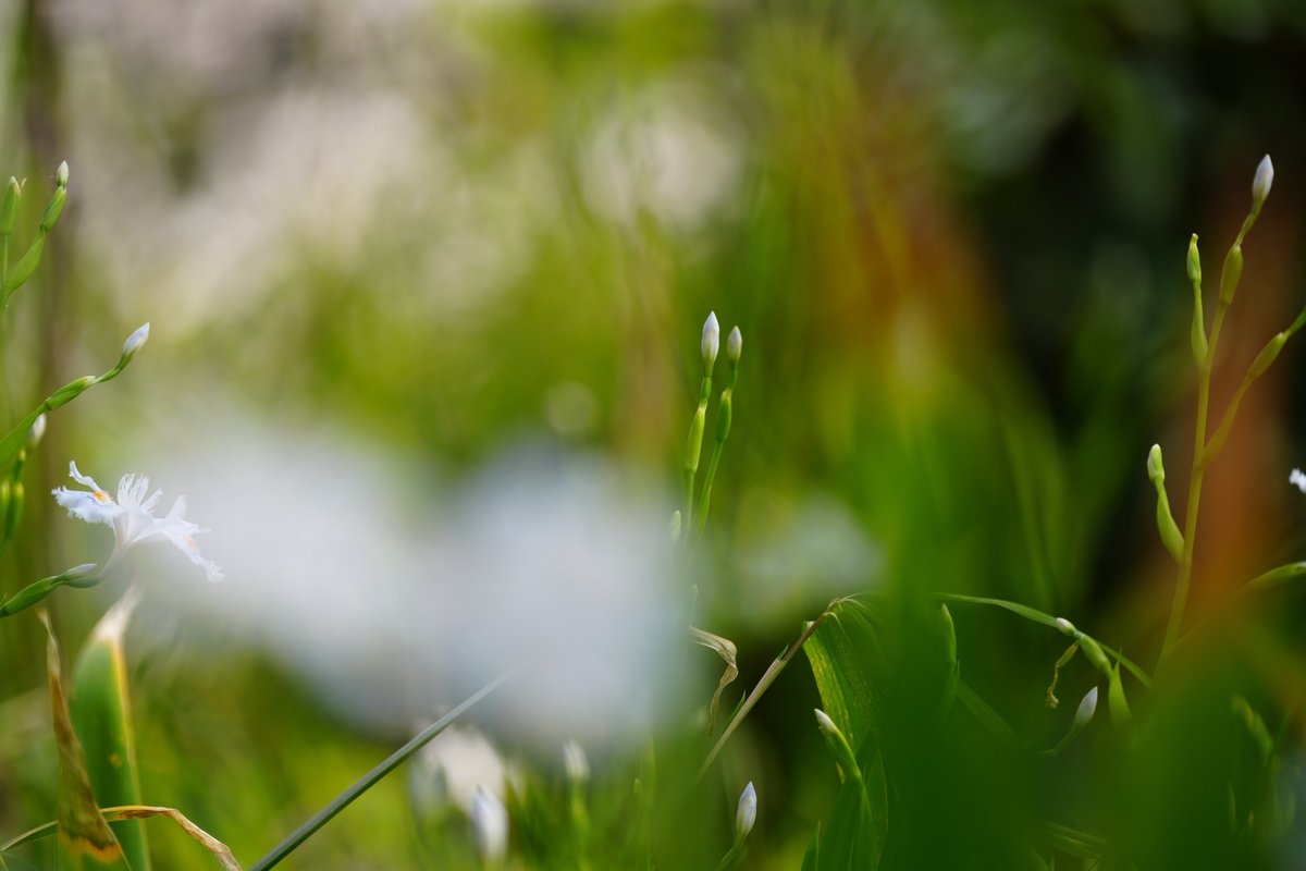 んなぁちゃん tweet media