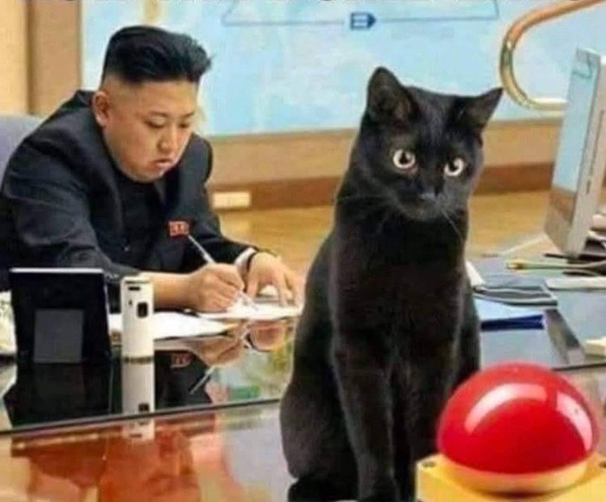 Around Town Memes (@chuckdpete) on Twitter photo 