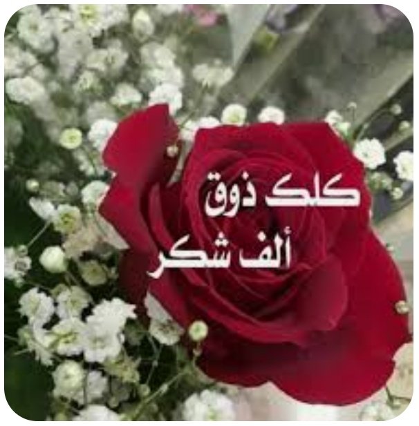 ✍🏻عA tweet media