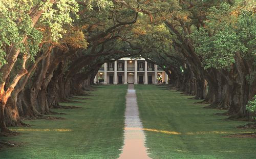 Ben Black | Dynasty Foundry tweet media