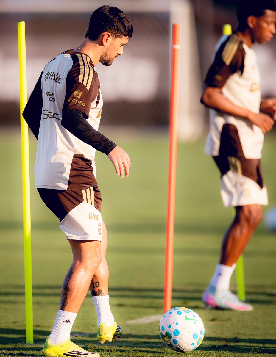 acervo arrasca tweet media