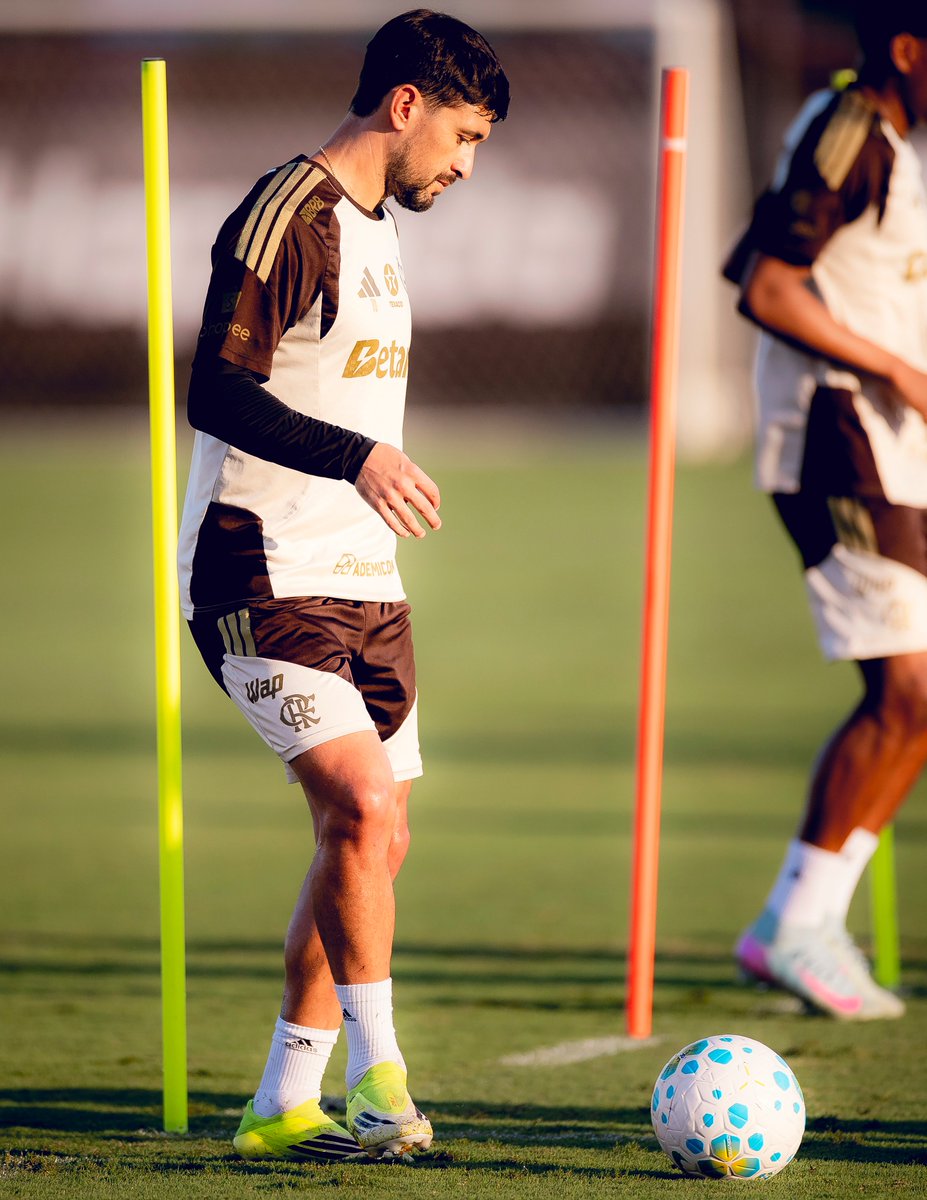 acervo arrasca tweet media