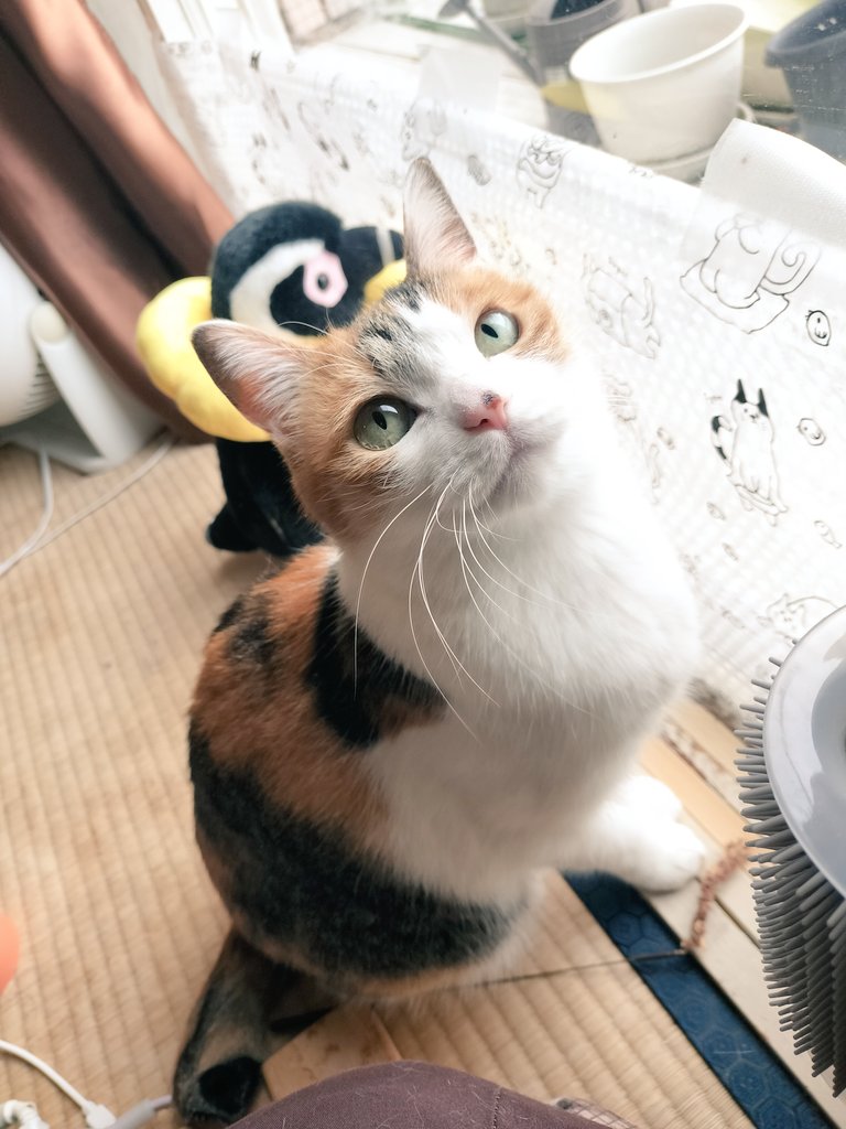 らら暮らし tweet media