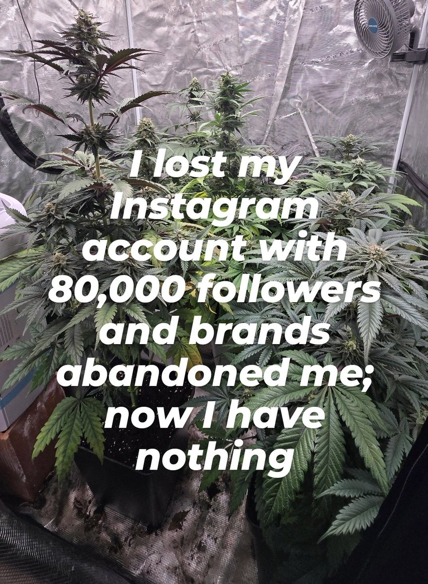 GreenAutoConsumo tweet media