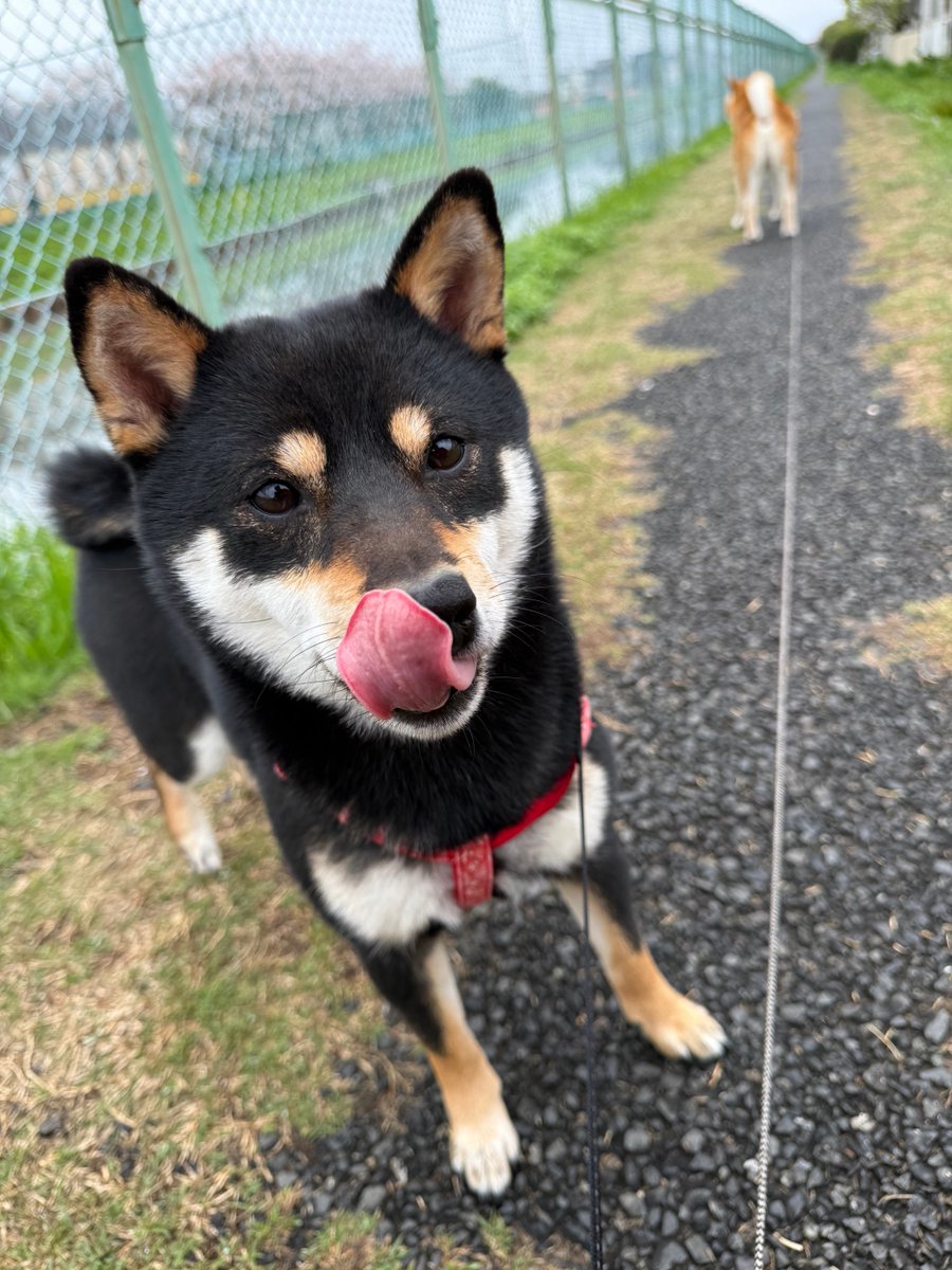 宮脇睦（みやわきあつし）@みやわきチャンネルLv.GoGo tweet media