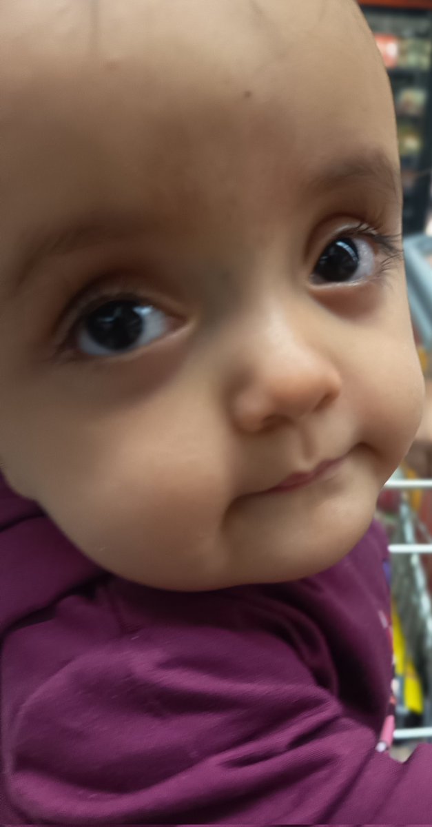 koke_nortino tweet media