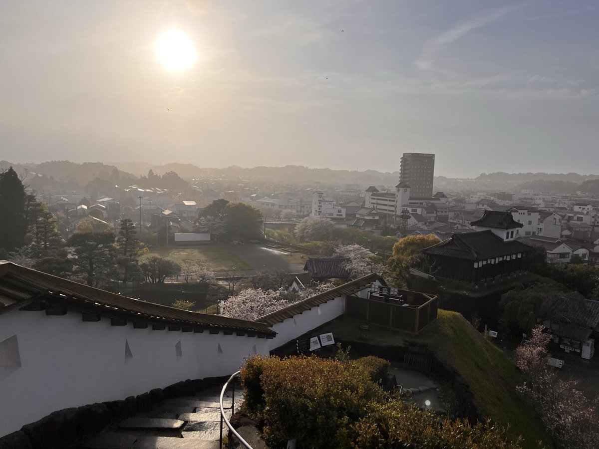 茶坊主 tweet media