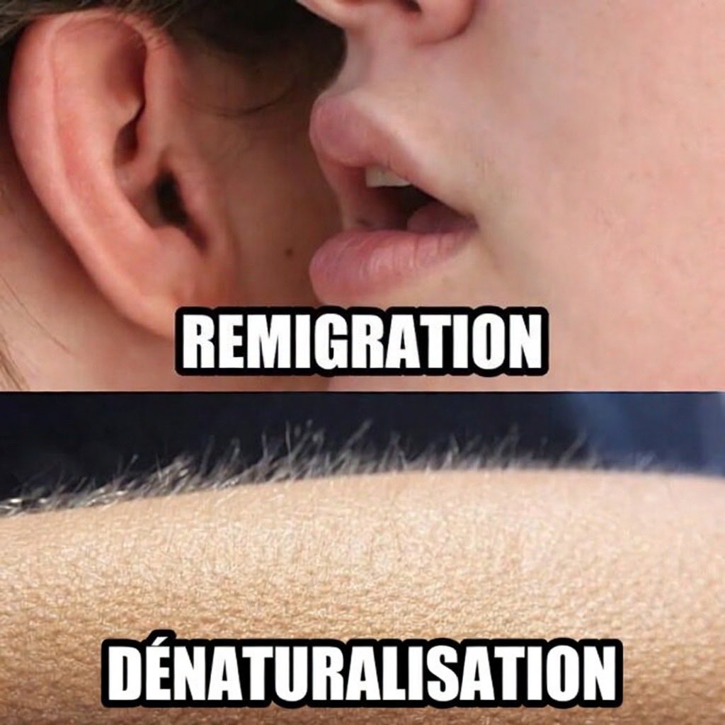 Perceval tweet media