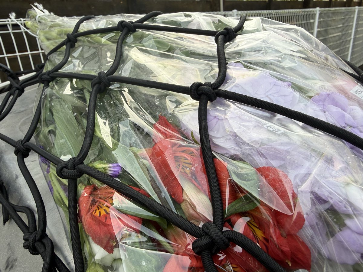 おっさん週末旅人 2026は買い換えます‼️ …ヘルメット…だけじゃないかも🤭 tweet media