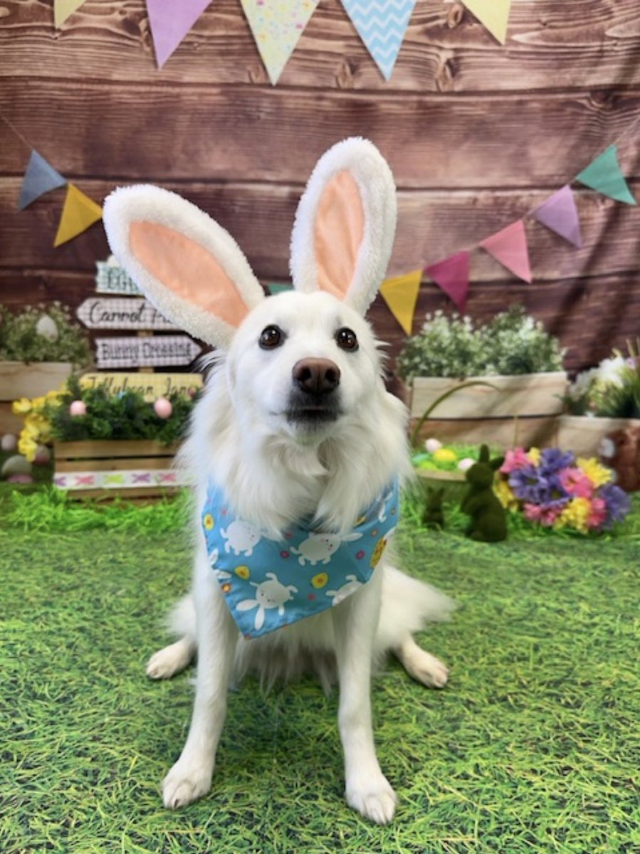 MichaelB tweet media