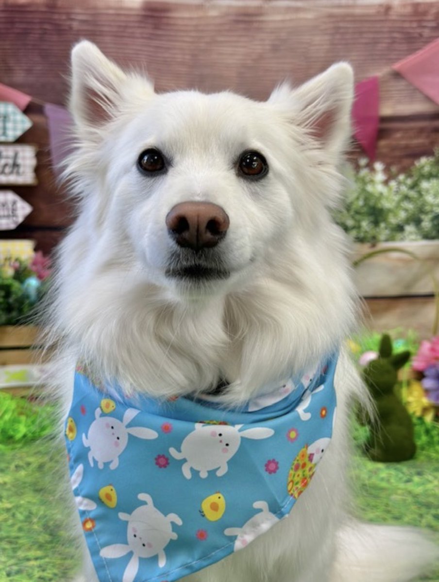 MichaelB tweet media