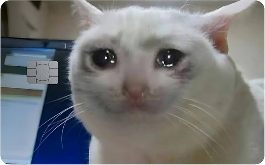 cfMC FEROX tweet media