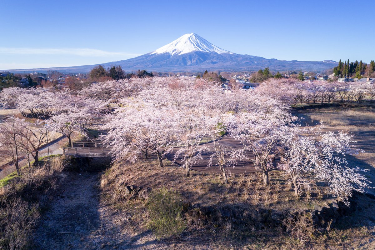 バッドマン🇯🇵🌊🗻💙🎌 tweet media