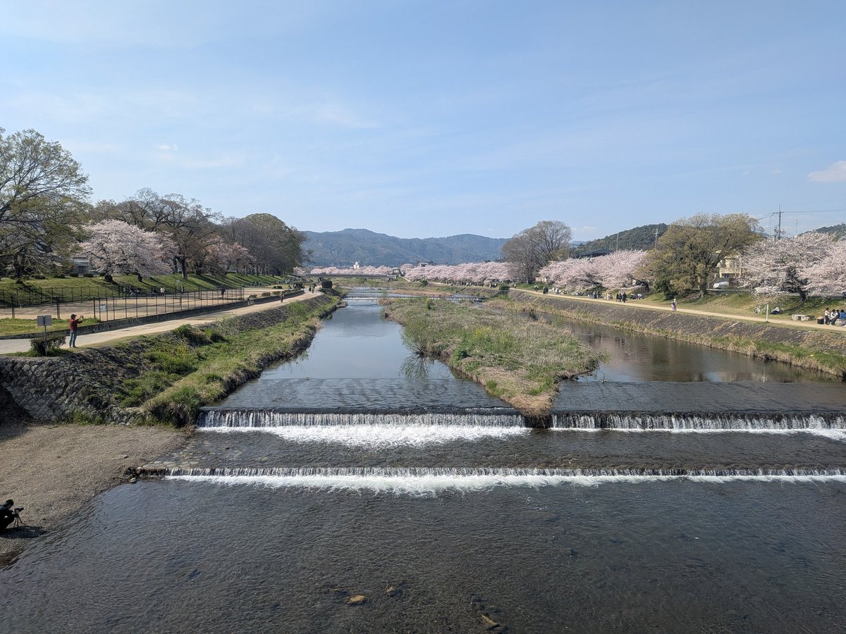 𝔹𝕠𝕠𝕫𝕖𝕣'𝕤 𝕋𝕖𝕖⚡𝕋𝕖𝕖 tweet media