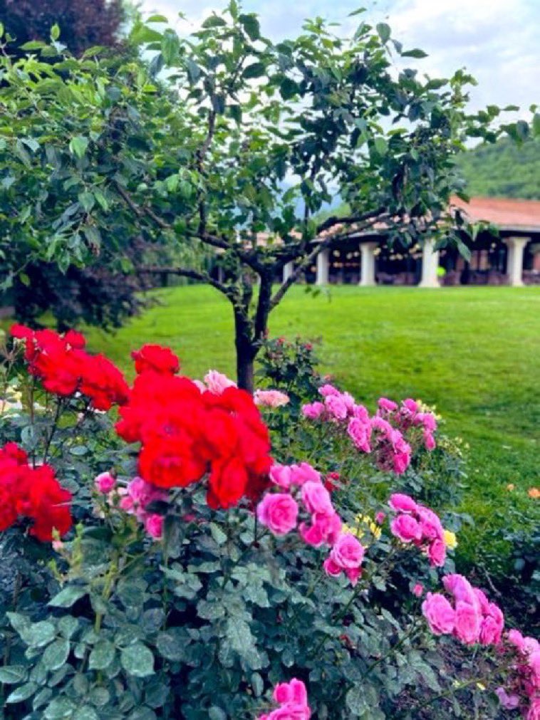 غاده ،،معلمة،، tweet media