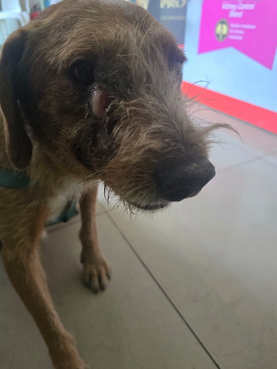 𝑴𝒂𝒓𝒊𝒂 𝑹𝒖𝒕𝒉 tweet media