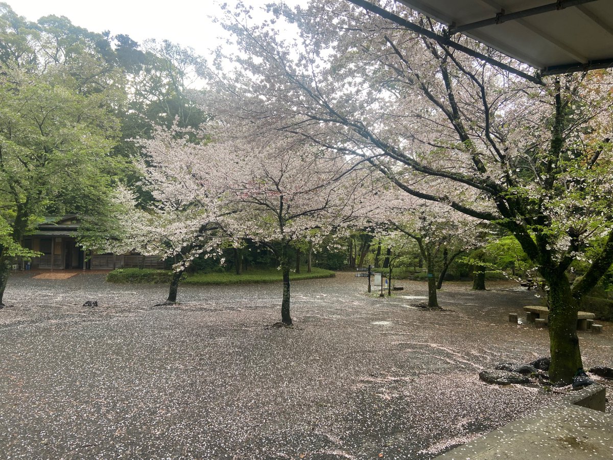 Music Net Park ~音楽イベント~ tweet media