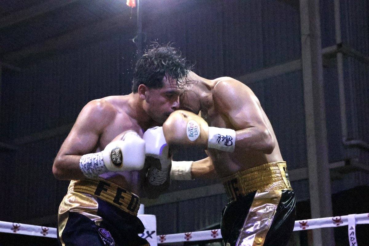 MisterCocoCanal's tweet image. Arena Jalisco 🥊😎
Evento del 2026-3-28

Boxeador: Instagram.com/g_Alfredo_E 
Entrenador: Instagram.com/shardid_10 

😎📸: Instagram.com/MisterCocoCanal 

@FoxxxesNBunnies 🦊&amp;amp;🐰 #Boxeadores 
#Boxeando #Boxeo #ArenaJalisco
#BoxeoMexicano #BoxeoProfesional
#MisterCocoCanal #FoxxxesNBunnies