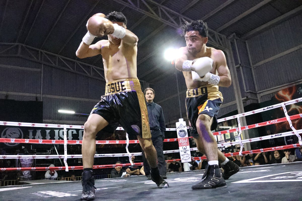 MisterCocoCanal's tweet image. Arena Jalisco 🥊😎
Evento del 2026-3-28

Boxeador: Instagram.com/g_Alfredo_E 
Entrenador: Instagram.com/shardid_10 

😎📸: Instagram.com/MisterCocoCanal 

@FoxxxesNBunnies 🦊&amp;amp;🐰 #Boxeadores 
#Boxeando #Boxeo #ArenaJalisco
#BoxeoMexicano #BoxeoProfesional
#MisterCocoCanal #FoxxxesNBunnies