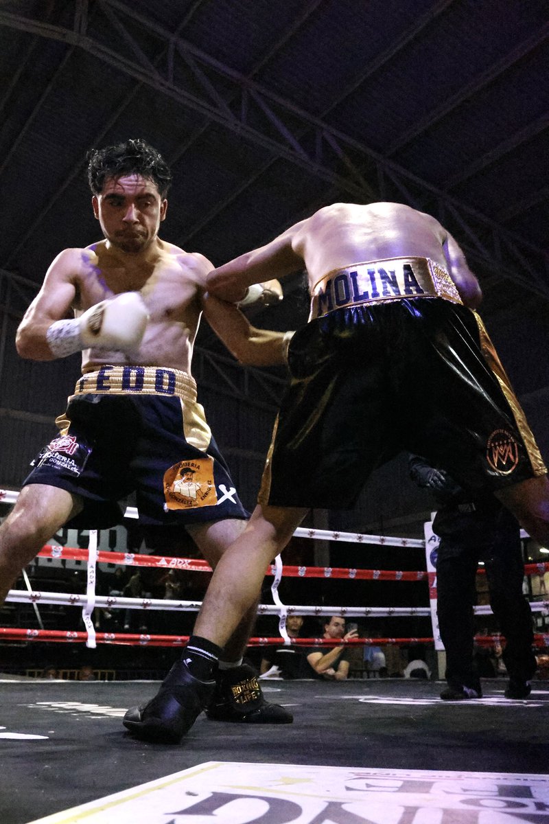 MisterCocoCanal's tweet image. Arena Jalisco 🥊😎
Evento del 2026-3-28

Boxeador: Instagram.com/g_Alfredo_E 
Entrenador: Instagram.com/shardid_10 

😎📸: Instagram.com/MisterCocoCanal 

@FoxxxesNBunnies 🦊&amp;amp;🐰 #Boxeadores 
#Boxeando #Boxeo #ArenaJalisco
#BoxeoMexicano #BoxeoProfesional
#MisterCocoCanal #FoxxxesNBunnies