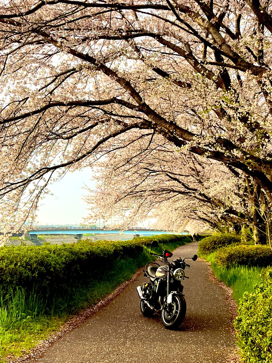 彪🐆🏍🏍³₃ tweet media