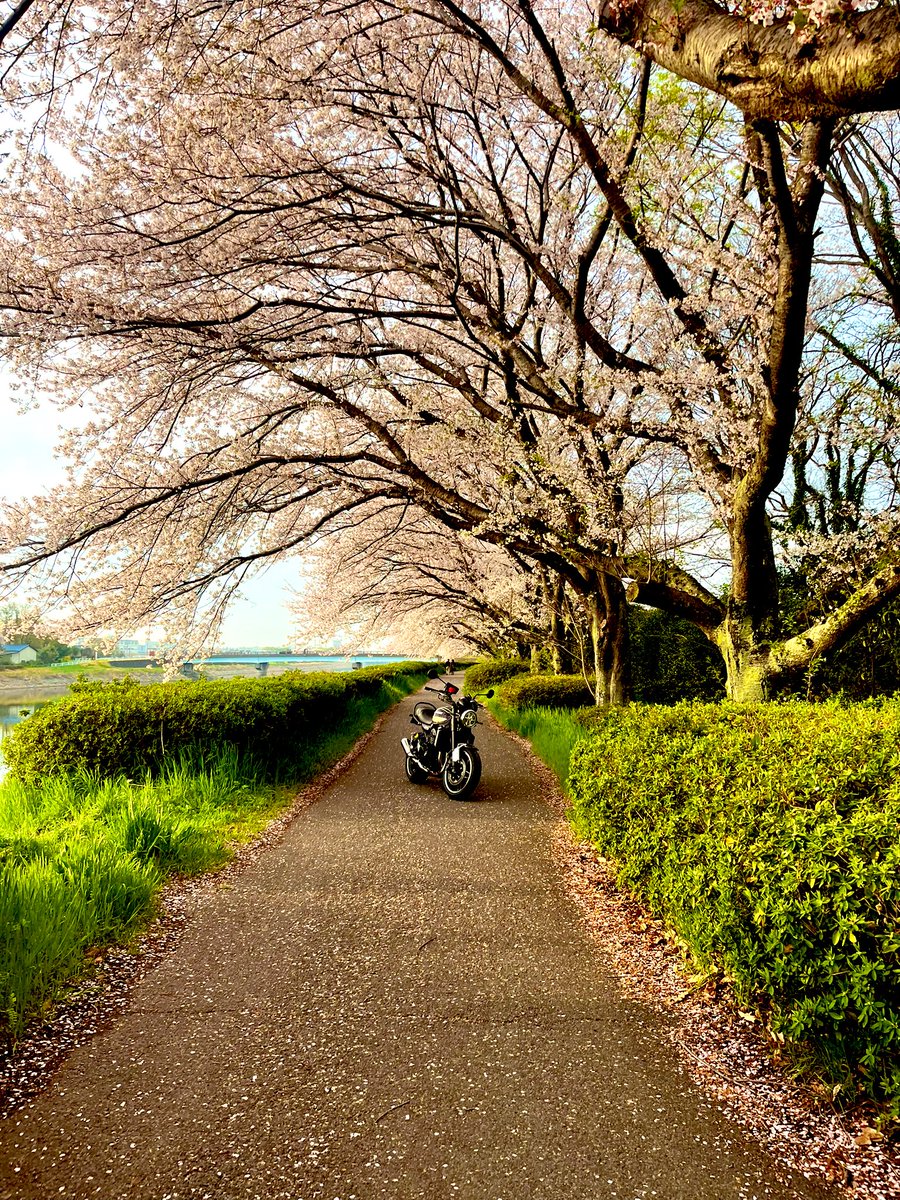 彪🐆🏍🏍³₃ tweet media