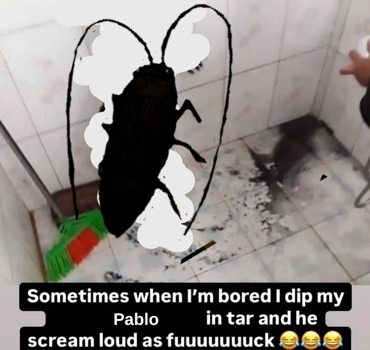 Gregor || 🪳 tweet media